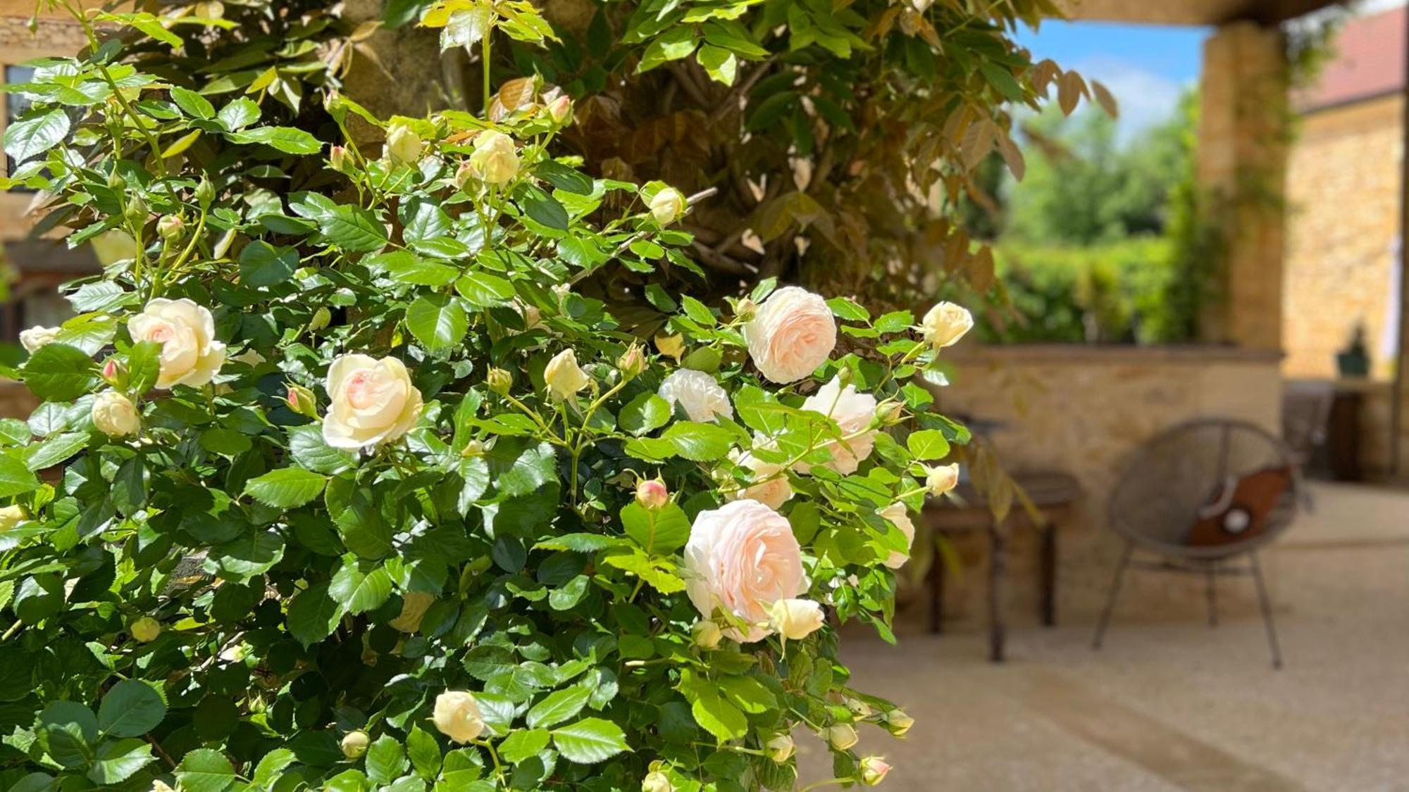 Hotel La Villa Romaine Carsac-Aillac Εξωτερικό φωτογραφία